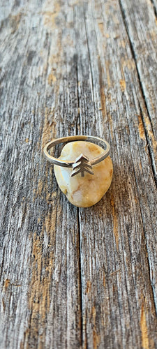 Pine Tree Ring